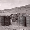Tibet gamine bouse Yak